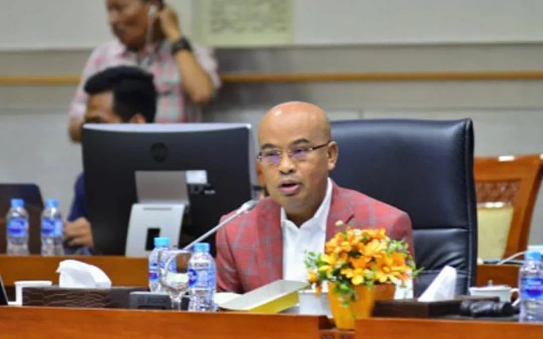 Wakil Ketua Komisi III DPR RI, Desmond Mahesa