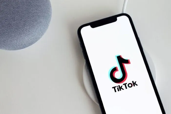 Ilustrasi Project S TikTok 