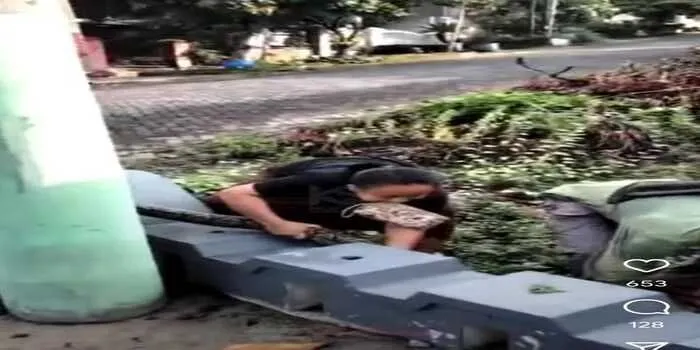 Aksi Seorang Emak Nekat Menangkap Ular yang Cukup Besar di Semarang
