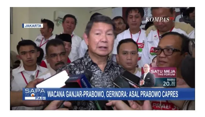 Wakil Ketua Dewan Pembina di Partai Gerindra, Hashim Djojohadikusumo