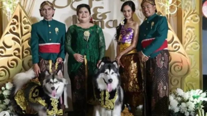 Viral Pernikahan Mewah Anjing di PIK, Biayanya Bikin Kaum Gaji UMR Ngelus Dada (Instagram @undercover.id)