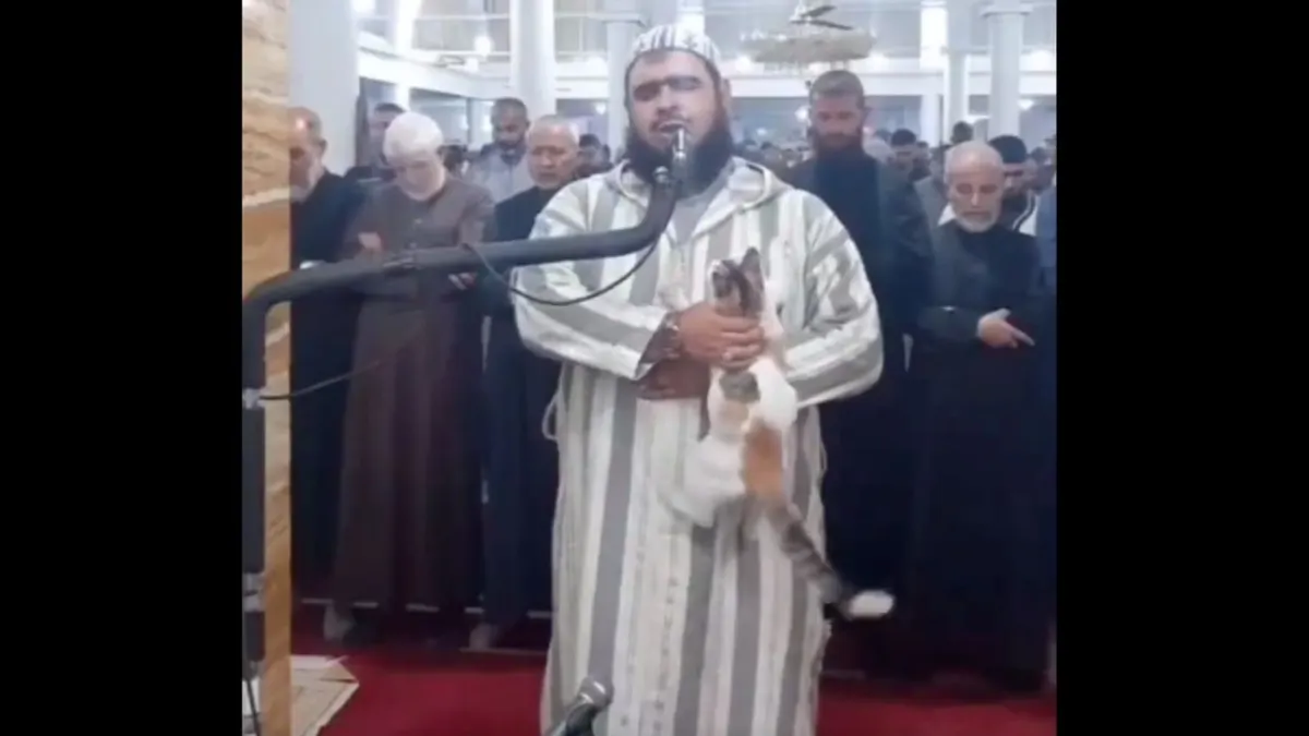 Viral video kucing naik ke pundak imam masjid. Foto/Istimewa.