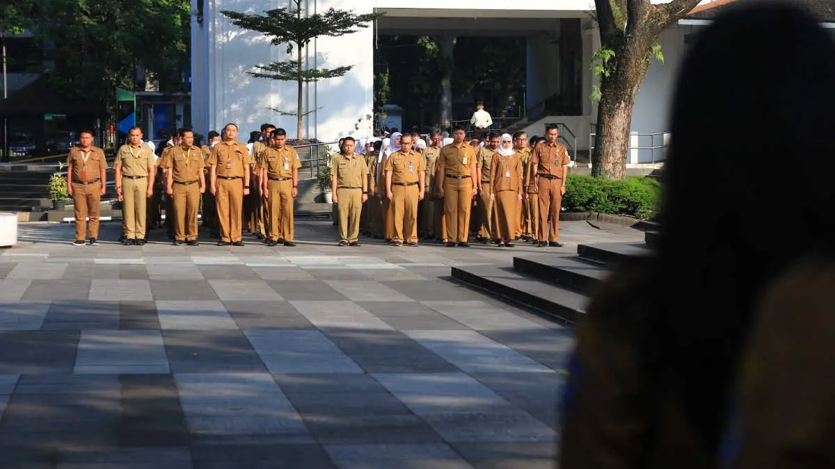 Inilah informasi mengenai 7 jurusan kuliah yang berpeluang besar lolos dalam seleksi CPNS 2023 mendatang. Semoga beruntung ya.
