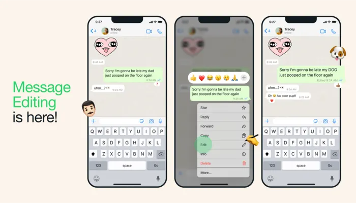 Fitur WhatsApp salah ketik pesan