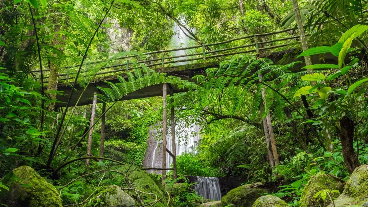 Taman Safari Bogor (TSB) kembali mengeluarkan paket promo diskon tiket masuk selama libur Lebaran 2023.
