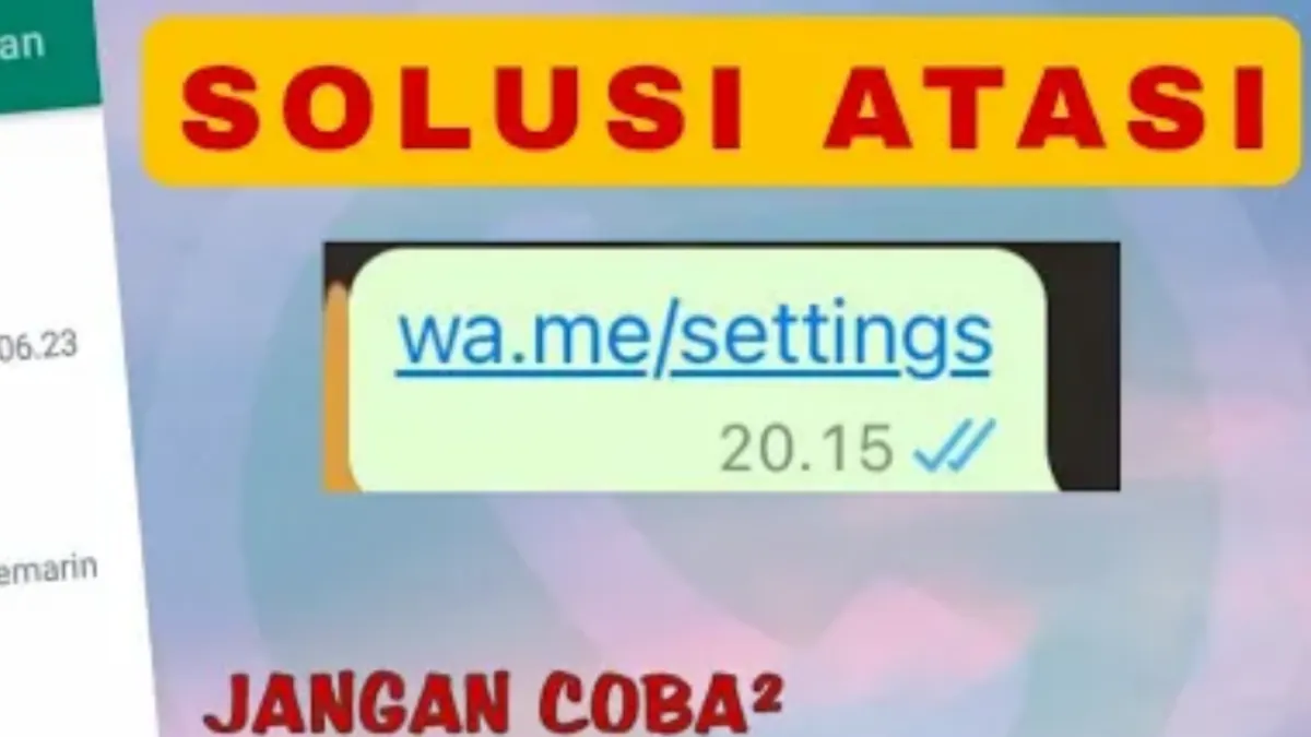 WhatsApp Error Jadi Korban Kode WA Me Settings