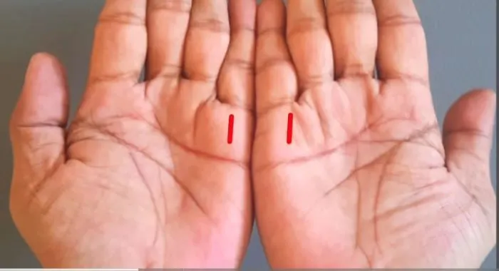 Garis tangan Seseorang Dapat Menjadi Penanda Kesuksesan Seseorang