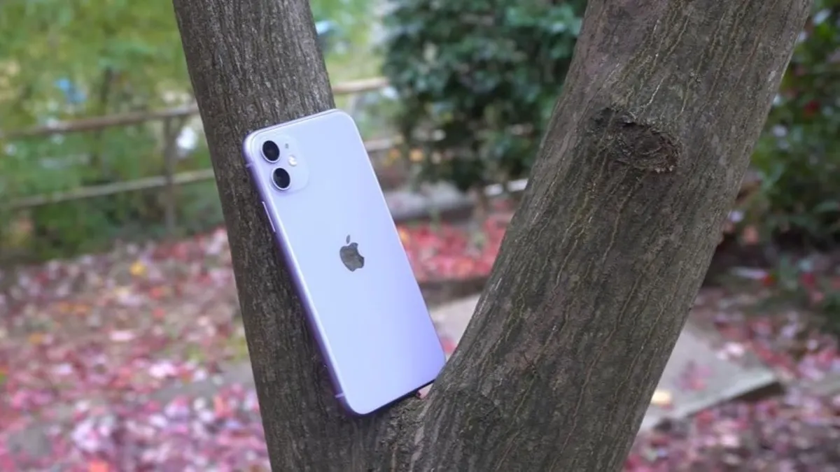 Ilustrasi harga iPhone 11 garansi iBox.