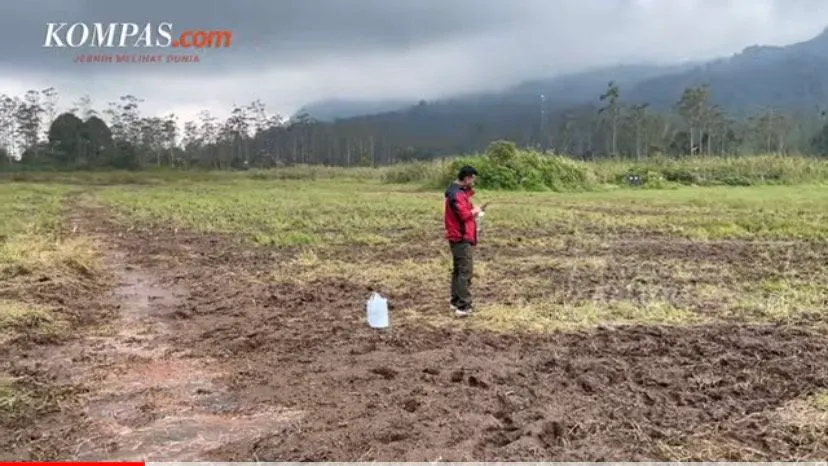Kebun Bunga Edelweis Rawa Ranca Upas Hancur Imbas Acara Motor Trail