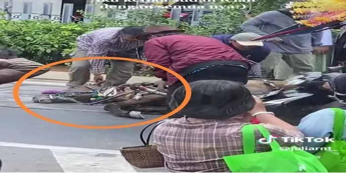 Viral Seekor kuda ambruk di jalanan depan stasiun kereta di kota Tua, Jakarta Utara