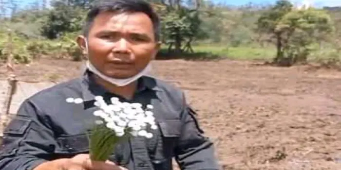 Mang Uprit Petani yang Protes karena Lahan Bunga Edelweisnya Dirusak