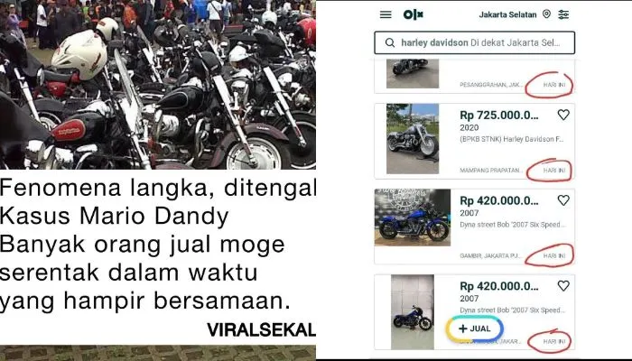 Fenomena banyak moge dijual mendadak setelah kasus Mario Dandy viral