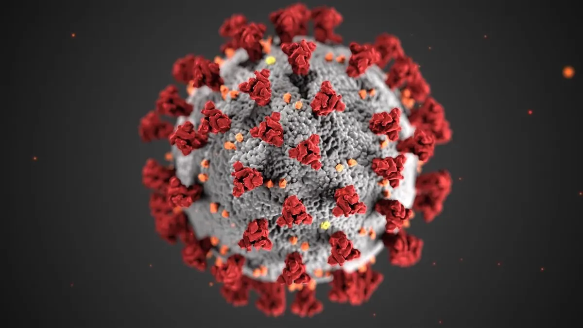 Ilustrasi virus