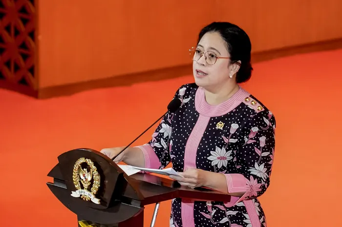 Puan Maharani, Ketua DPP PDIP