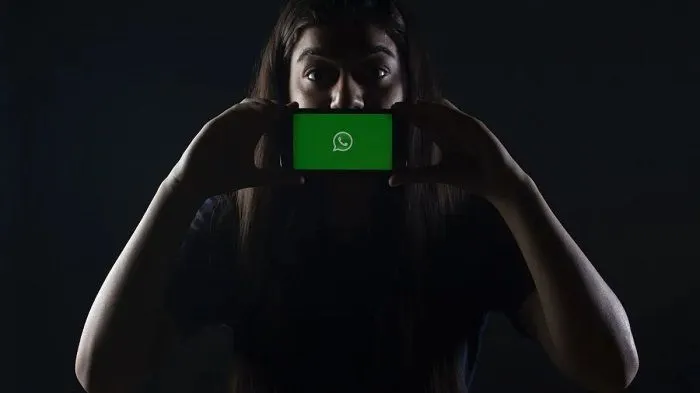 Waspada Scam WhatsApp Pink, Penipuan Menargetkan Pengguna dengan tautan, Begini Modusnya