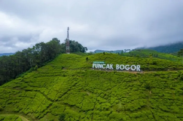 Ilustrasi: Puncak Bogor (Unsplash/Ammar Andiko)