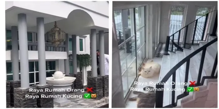 penampakan sebuah rumah mewah untuk kucing