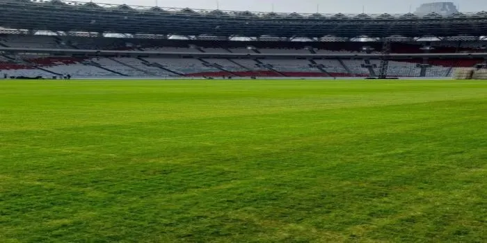 Rumput di Stadion GBK Rusak Usai Konser BLACKPINK