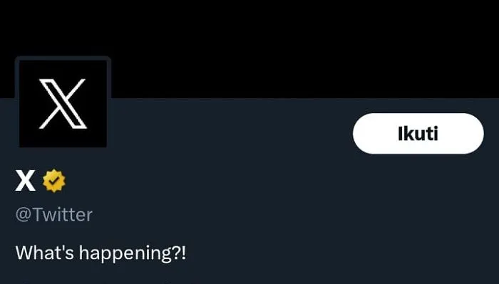 Resmi Diganti! Elon Musk Ubah Logo Twitter dengan Logo Huruf X