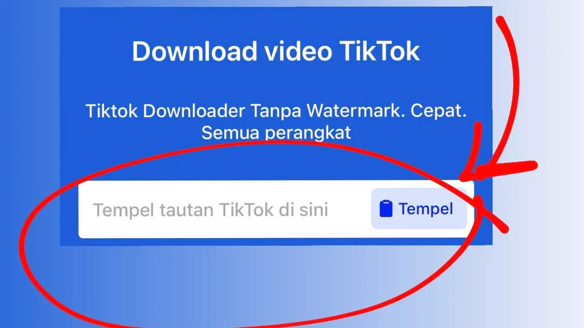 Download Video TikTok Tanpa Watermark
