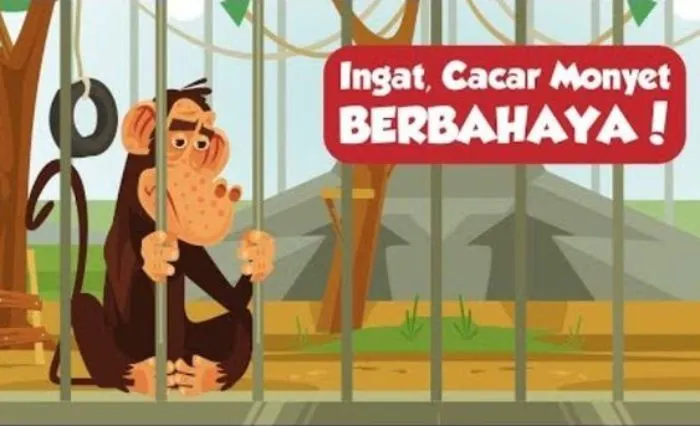 Kenali Penyakitnya dan Waspada Penularannya Penyakit Cacar Monyet