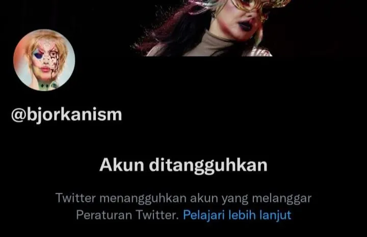 Akun Twitter Bjorka kena suspend.
