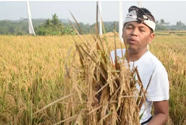 Dedi Mulyadi Kerap Bikin Konten YouTube, Asli atau Settingan? Ini Faktanya