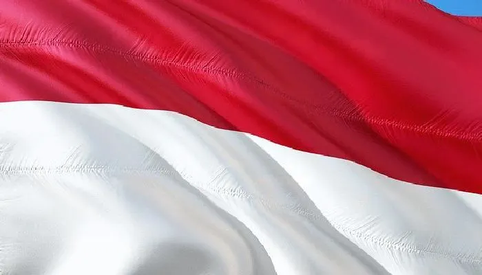 Lirik Lagu Indonesia Raya, Lengkap dengan Tayangan Video