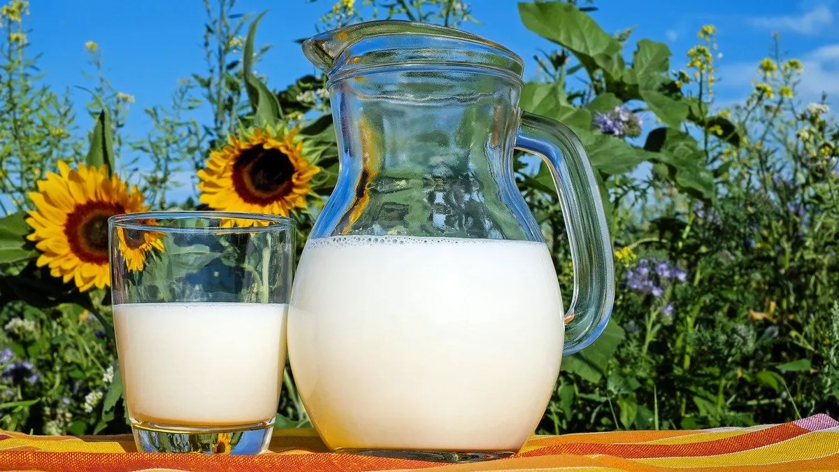 Ilustrasi susu