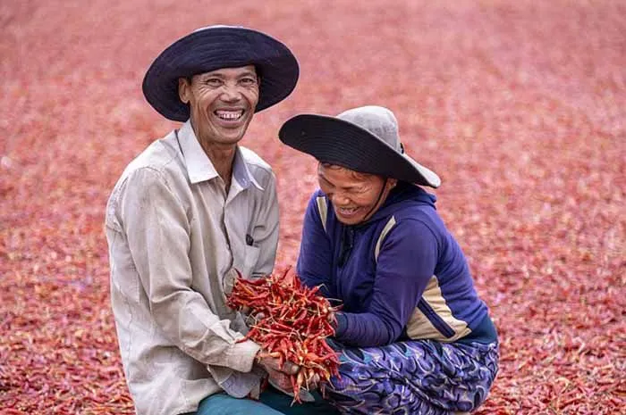 Ilustrasi Pak Tani di Hari Tani Nasional