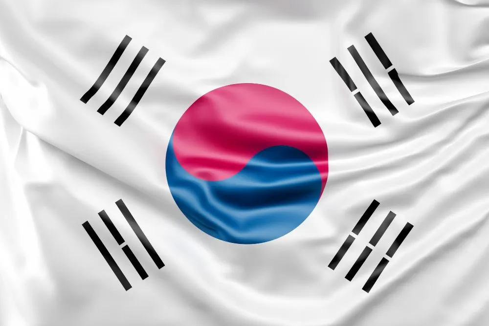 Ilustrasi fakta unik Korea Selatan di kanca Piala Dunia.