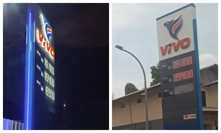 vivo