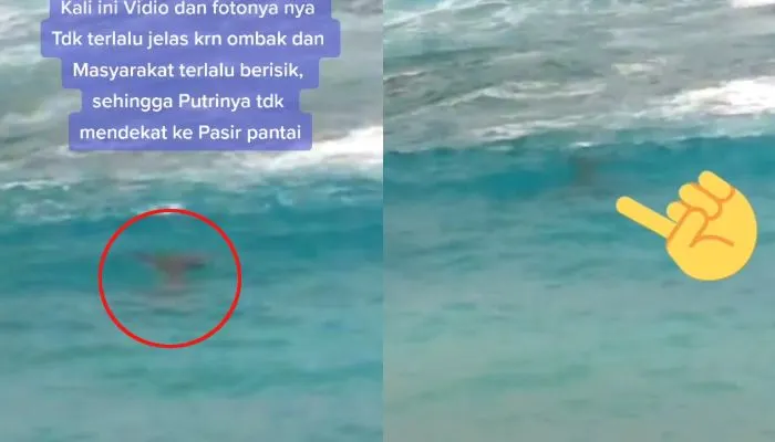 Diduga penampakan putri duyung muncul di perairan pantai Latuhalat Ambon