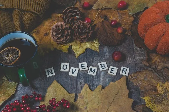 5 Rekomendasi Lagu Bulan November, dari yang Legendaris hingga Kpop Lengkap dengan Link!