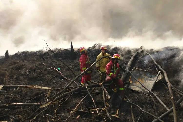 Sudah Dua Hari Kebakaran di Gunung Putri Bogor Tak Kunjung Padam