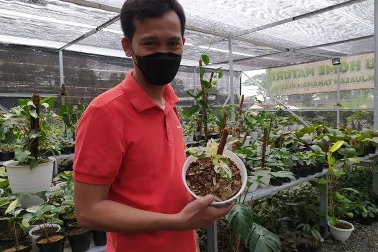Chief Executive Officer (CEO) Minaqu Home Nature Kota Bogor Ade Wardhana