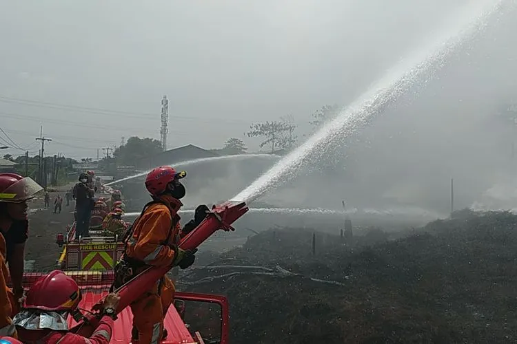 Petugas pemadam kebakaran saat berusaha menjinakkan api di lokasi kebakaran/  Dok. Petugas Damkar