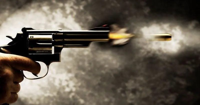 pistol