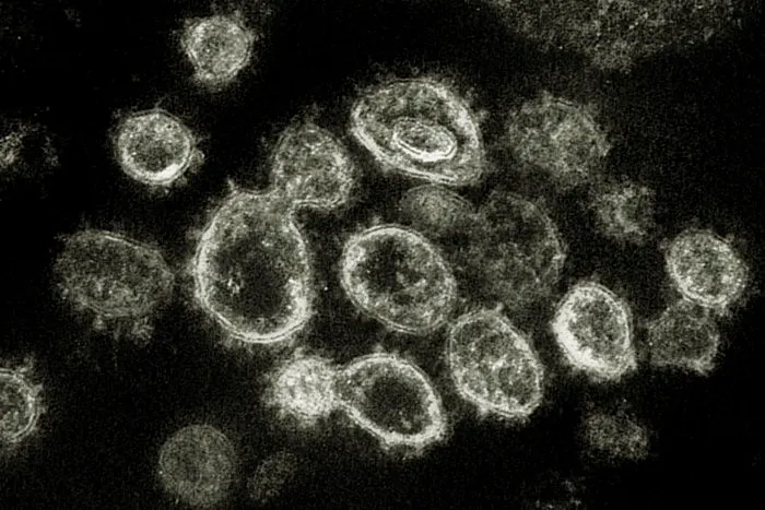 Ilustrasi virus Corona varian Omicron