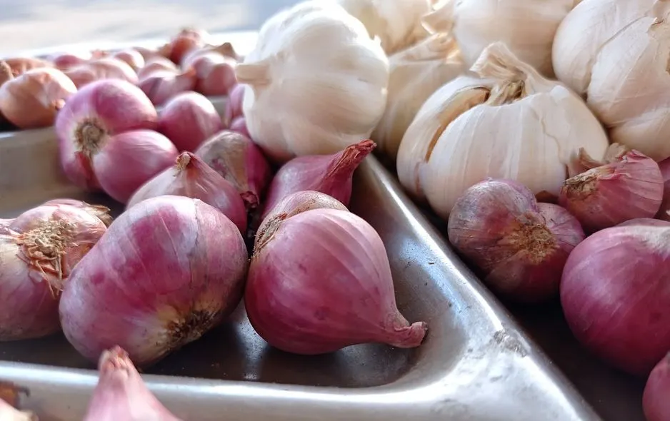 Ilustrasi bawang merah dan bawang putih. Sejumlah kebutuhan pokok di Bekasi termasuk bawang merah dan putih naik harganya jelang Ramadan.