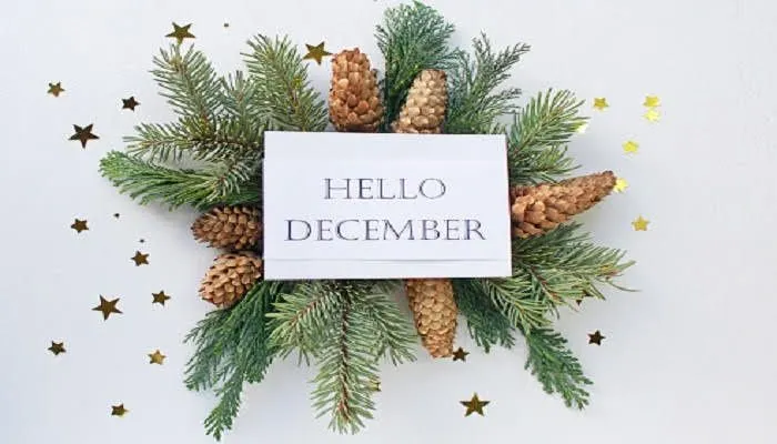 Welcome Desember! 20 Caption Ucapan Selamat Datang Bulan Desember 2022, Menarik dan Penuh Harapan