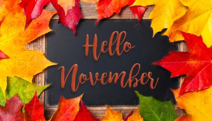 Kepribadian Orang yang Lahir Tanggal 2 November, Sosok yang Sangat Kuat dan Gigih