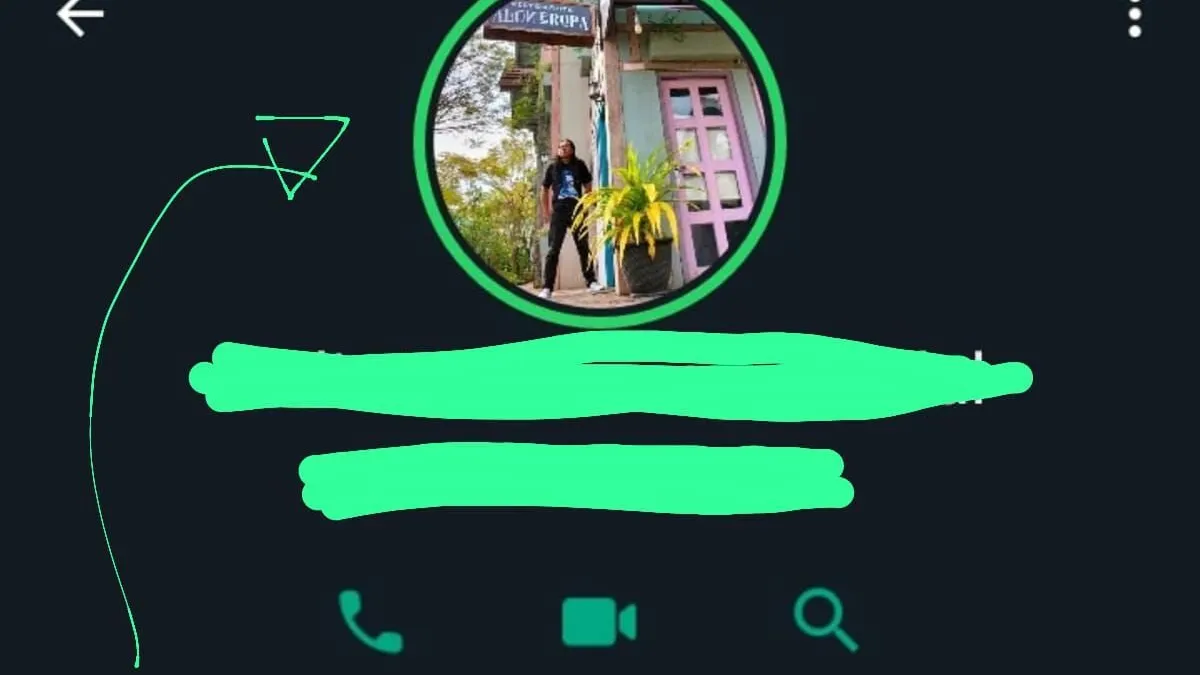Apa Fungsi Simbol Lingkaran Hijau atau Biru yang Muncul di Foto Profil WhatsApp?