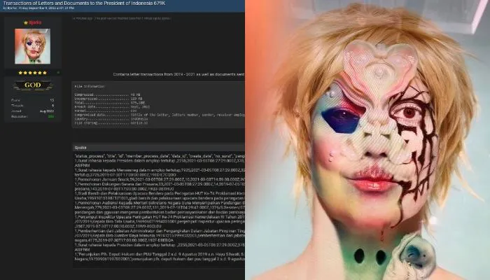 Dibalik Aksi Nekatnya Bocorkan Data Pemerintah hingga Kasus-kasus Besar, Makanan Favorit Bjorka Adalah Bakso