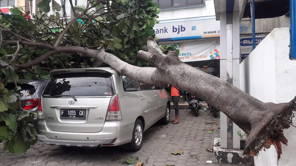 Diguyur Hujan Deras dan Angin Kencang, Dalam Satu Hari 13 Bencana Warnai Kota Bogor