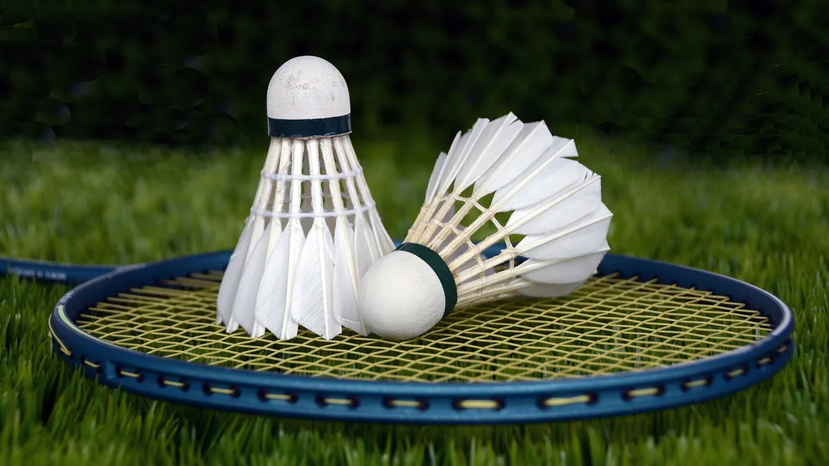 Ilustrasi Badminton