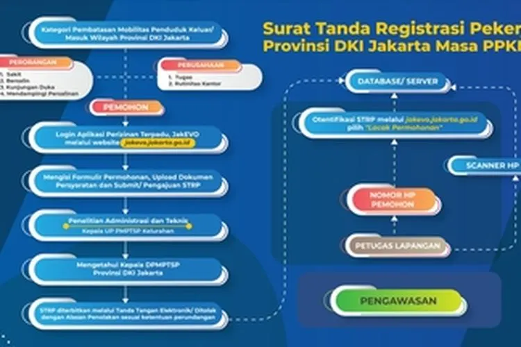 Begini Cara Pengajuan STRP DKI Lewat Online, Gratis!  / dok. jakevo.jakarta.go.id
