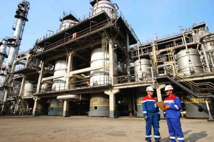 Cek! Lowongan Kerja di Pertamina untuk Lulusan S1 / dok. Suara.com