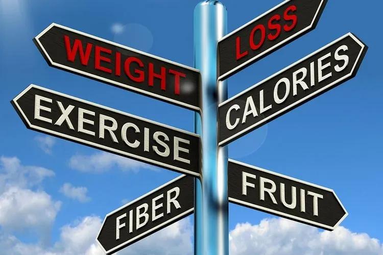 DIET SEHAT: 9 + 4 Kebiasaan yang Bisa Menurunkan Berat Badan dengan Cepat (ilustrasi)/pixabay
