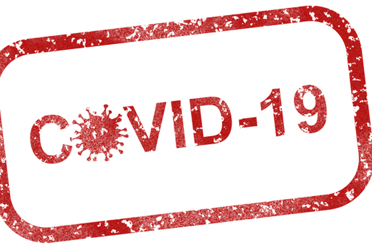 Ilustrasi pandemi Covid-19 / Pixabay